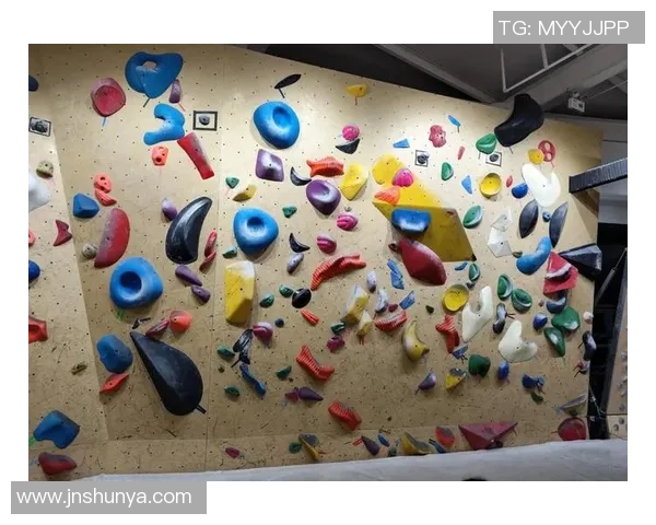 攀岩竞技新视角：深入探讨上海攀岩队的战术与训练策略