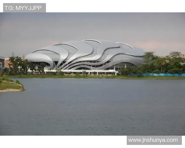 广州极限运动队的转型之路与未来发展趋势解析