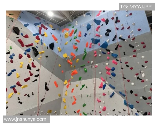 上海攀岩队的阵地战揭秘：探索攀岩热点与未来发展趋势