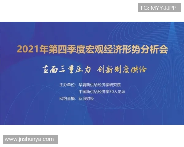 重庆飞盘队状态分析与未来发展展望探讨